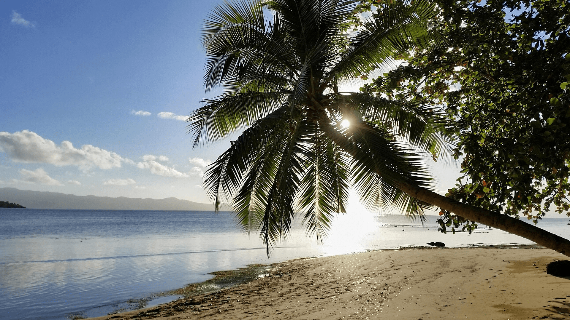 Registration for the 2025–26 Pacific Engagement Visa (Subclass 192) ballot is now open. Learn about PEV eligibility, registration dates, job offer requirements, and how to apply for permanent residency in Australia